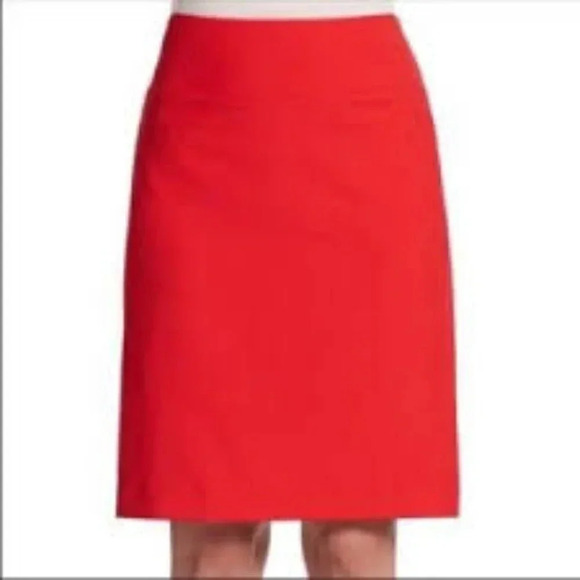 Ellen Tracy Dresses & Skirts - Ellen Tracy Skirts | New High Waisted